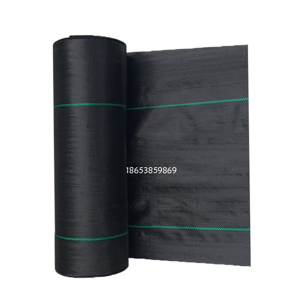 1781259178745988.jpg
